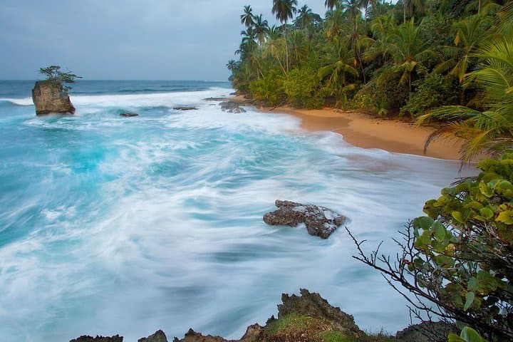 8-Day Costa Rica: San José, Tortuguero & Cahuita Wildlife and Coast Adventure photo 2