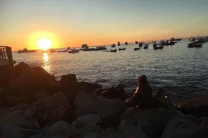 Galapagos Island Hopping: 8-Day Complete Wildlife and Snorkel Adventure photo 3