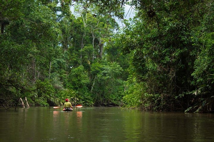 5-Day Cuyabeno & Papallacta Amazon Adventure: Canoes, Community & Hot Springs