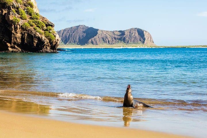 5-Day Galapagos Multisport on Isabela Island — Biking, Hiking & Snorkeling Adventure photo 2