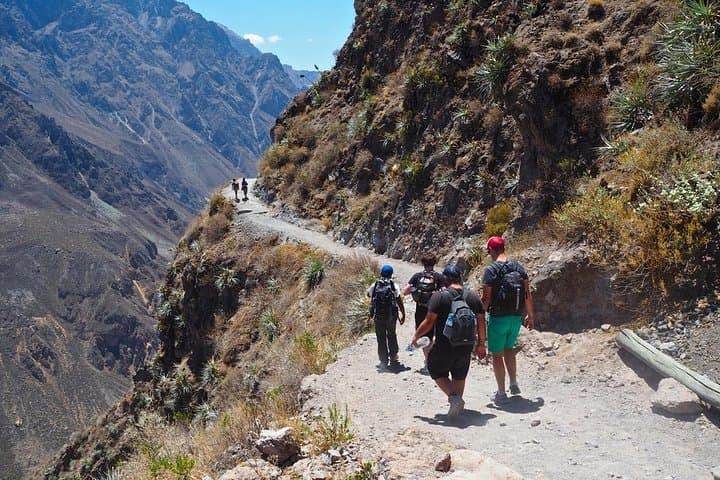 3-Day Colca Canyon Trek from Arequipa: Cabanaconde to Oasis Backpacking Guide