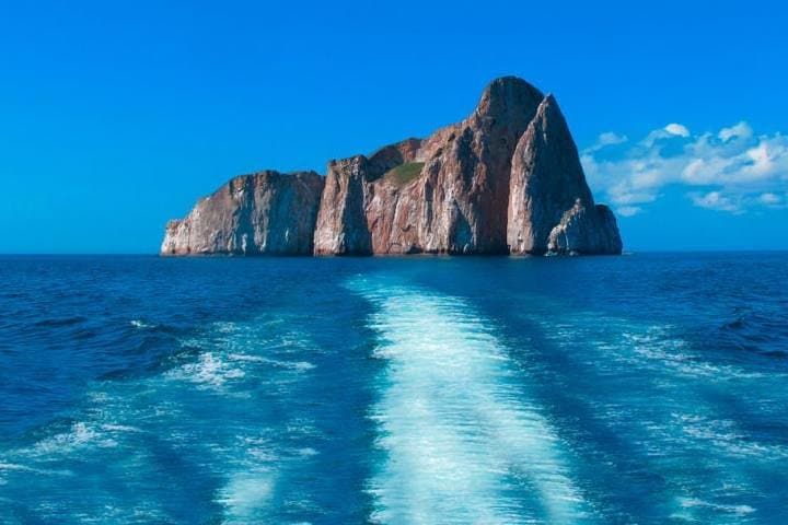 4-Day Wild San Cristóbal Tour: Kicker Rock, Lobos Island & La Loberia