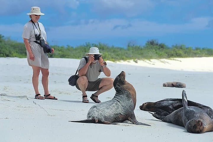 5-Day Galapagos Tour: Santa Cruz & Isabela — Snorkel, Sierra Negra Hike & Wildlife