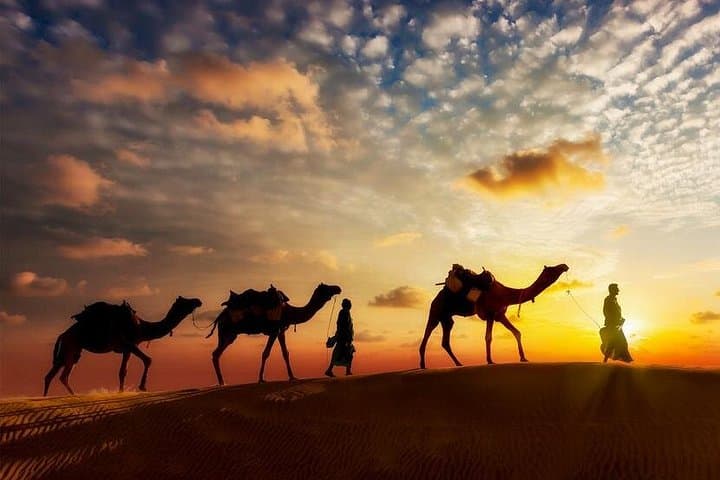 12-Day Private Rajasthan Tour: Palaces, Forts & Camel Safari from Delhi photo 1