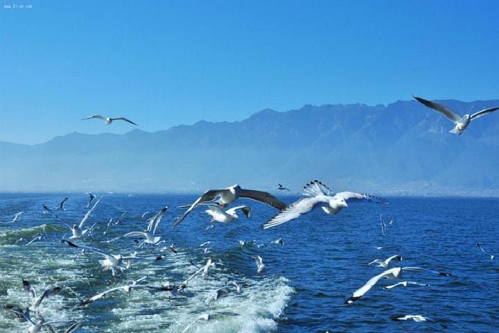 Yunnan in Eight Days: Kunming, Dali, Lijiang & Shangri‑La Classic Route photo 2