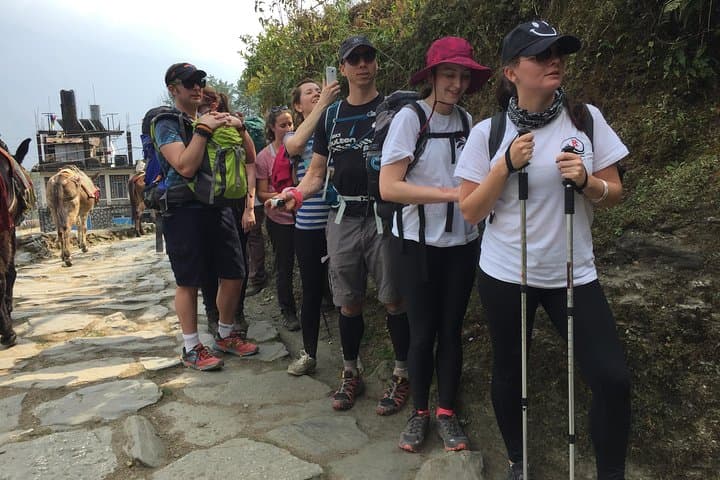 5-Day Annapurna Foothills Trek: Poon Hill, Ghorepani & Ghandruk photo 2