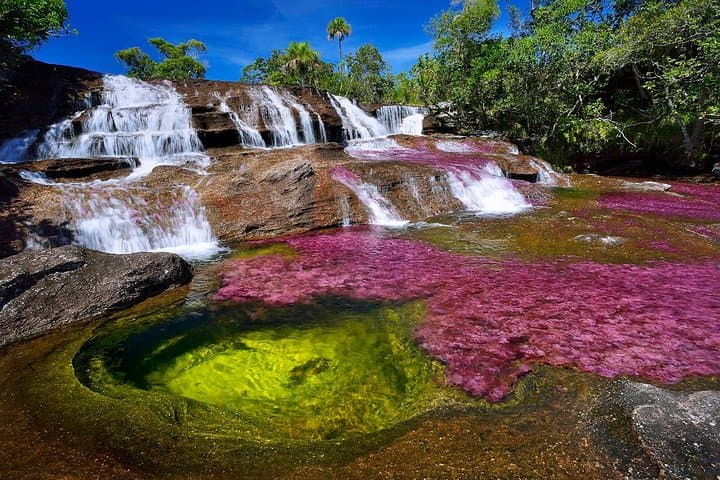 3-Day Caño Cristales Rainbow River Tour from Bogotá — Guide to Colombia's Rainbow River