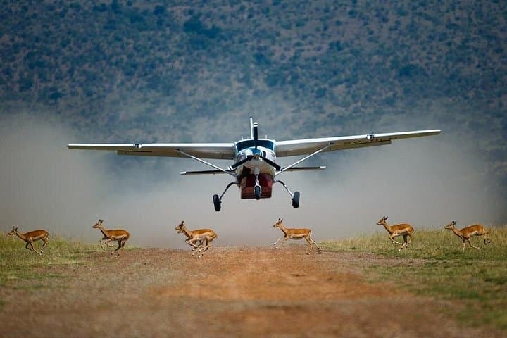 3-Day Flying Luxury Lodge Safari in the Masai Mara: Private Game Drives & Lodge Comfort photo 1