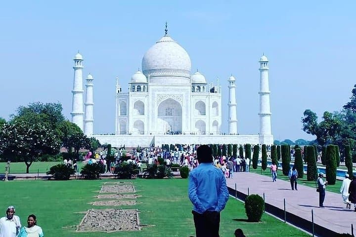 Golden Triangle & Ranthambhore: 5-Day Private Tour from Delhi (Taj, Tigers, Jaipur) photo 2