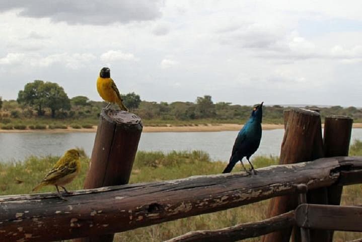 Three Countries in Eight Days: Mpumalanga, Eswatini & Mozambique Coastal Escape photo 2