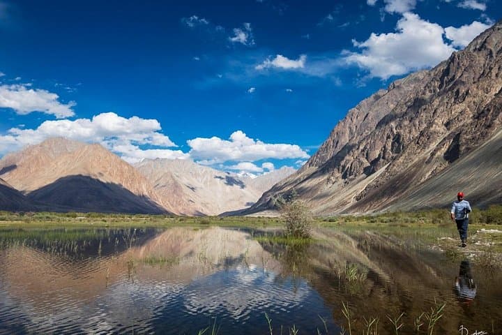 Ladakh Mesmerising Tour: 6-Day Leh, Pangong & Nubra Overland Experience photo 1