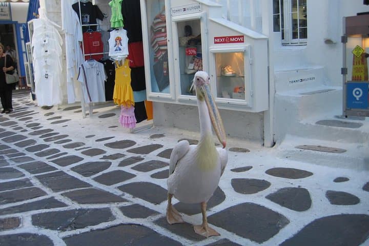3-Day Mykonos Island Escape from Athens: Ferry, Delos & Island Time photo 3