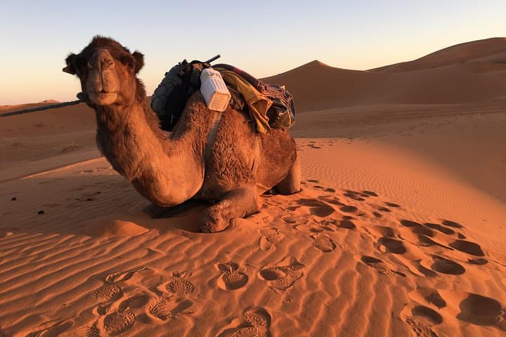 4-Day Sahara Desert Excursion from Marrakech — Camel Trek, Dunes & Luxury Camp