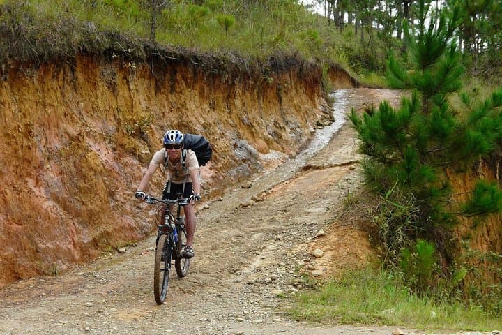 Crazy 8 Mountain Bike Tour from Da Lat — 37km Pine-Forest Singletrack Adventure photo 3