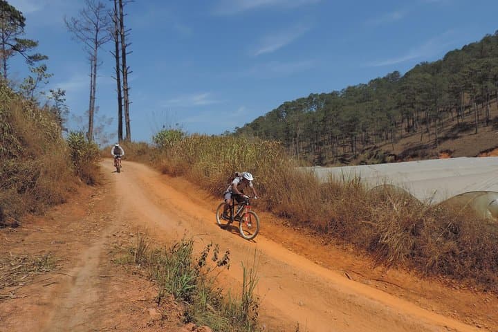 Crazy 8 Mountain Bike Tour from Da Lat — 37km Pine-Forest Singletrack Adventure photo 6