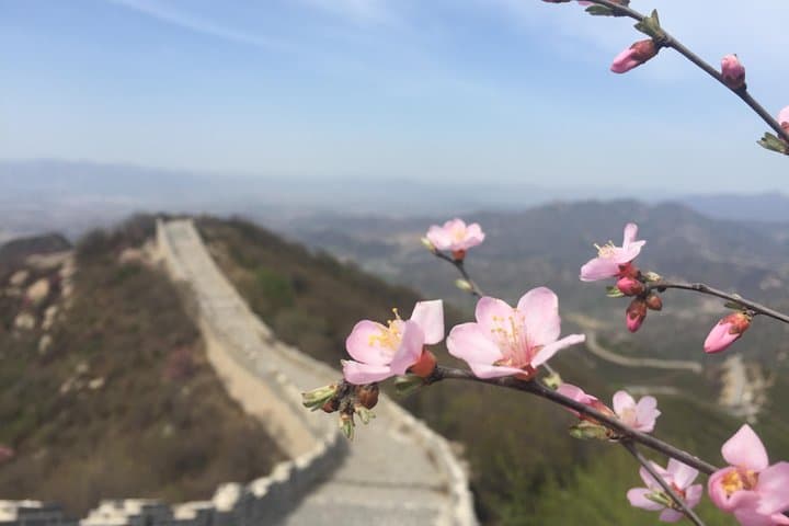 Hike the Yanqing Badaling Incomplete Great Wall — Private Full‑Day Trek from Beijing photo 6