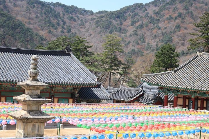 Junam Wetlands and Haeinsa Temple Day Tour from Busan: Birds, Lotus Fields & the Tripitaka Koreana photo 4