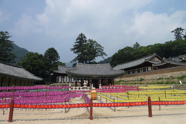 Junam Wetlands and Haeinsa Temple Day Tour from Busan: Birds, Lotus Fields & the Tripitaka Koreana photo 5