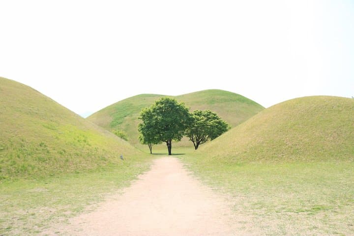 Full-Day Gyeongju UNESCO Tour: Bulguksa, Seokguram & Cheomseongdae photo 3