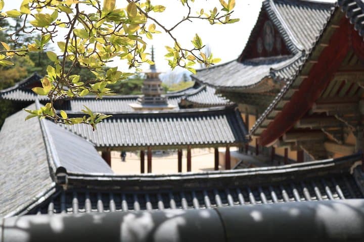 Full-Day Gyeongju UNESCO Tour: Bulguksa, Seokguram & Cheomseongdae photo 1