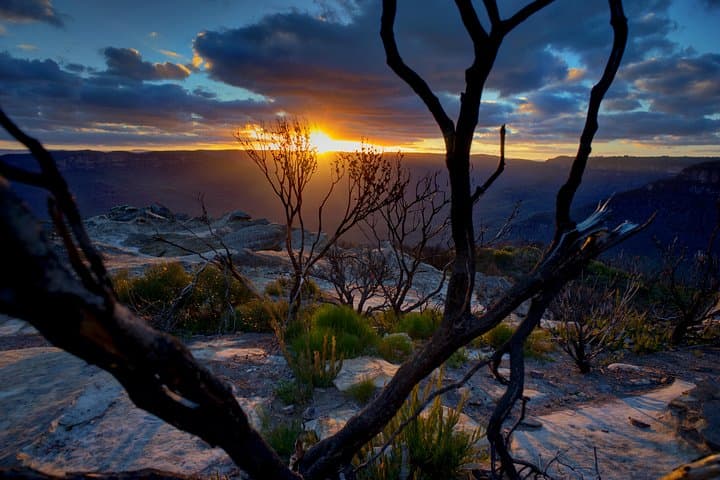Blue Mountains Twilight Wildlife Tour: Sunset Wallabies & Scenic Lookouts