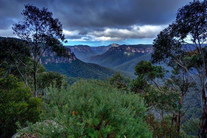 Blue Mountains Twilight Wildlife Tour: Sunset Wallabies & Scenic Lookouts photo 2