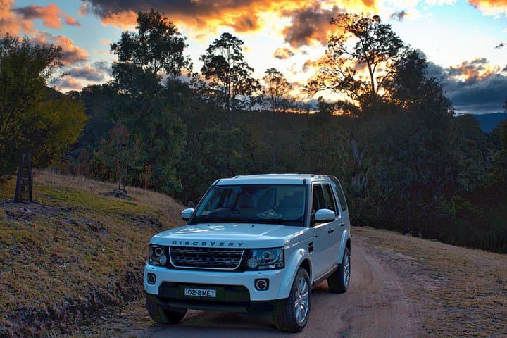 Blue Mountains Twilight Wildlife Tour: Sunset Wallabies & Scenic Lookouts photo 4
