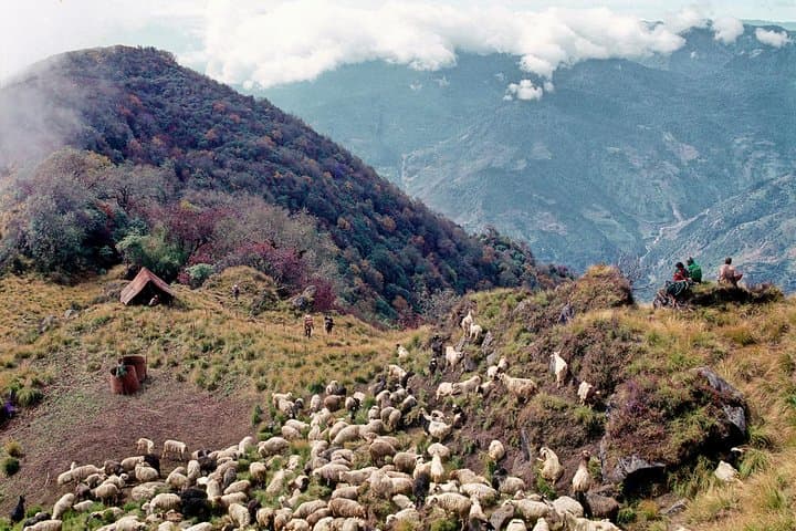 3-Day Ghandruk Loop Trek from Pokhara: Short Annapurna Trek with Gurung Culture photo 6