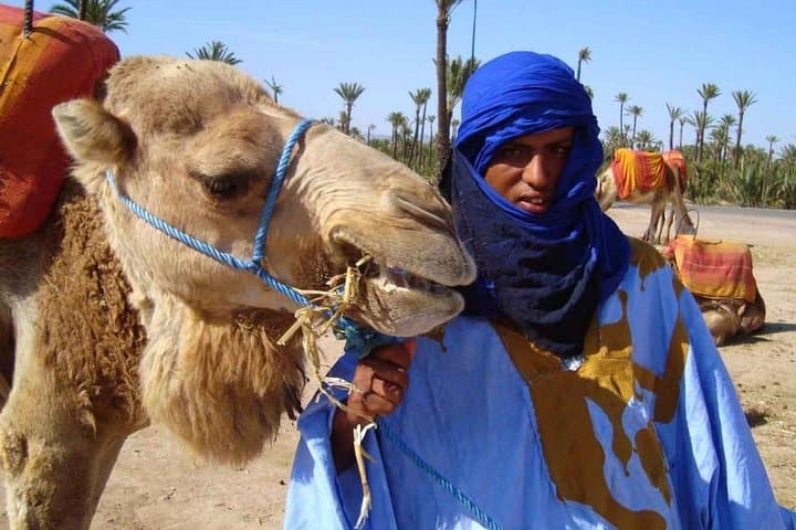Camel Ride in Marrakech Palm Grove — Palmeraie Camel Tour & Berber Tea Visit photo 6