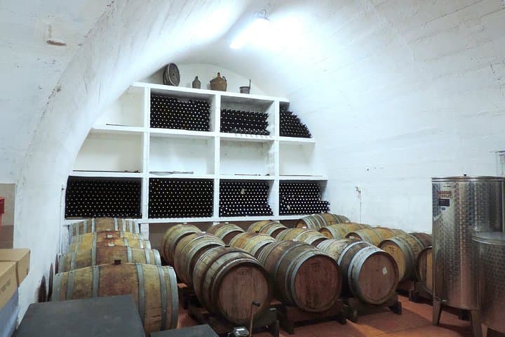 Taste Vis: Island Wine Tasting & Winery Tours on Historic Issa photo 6