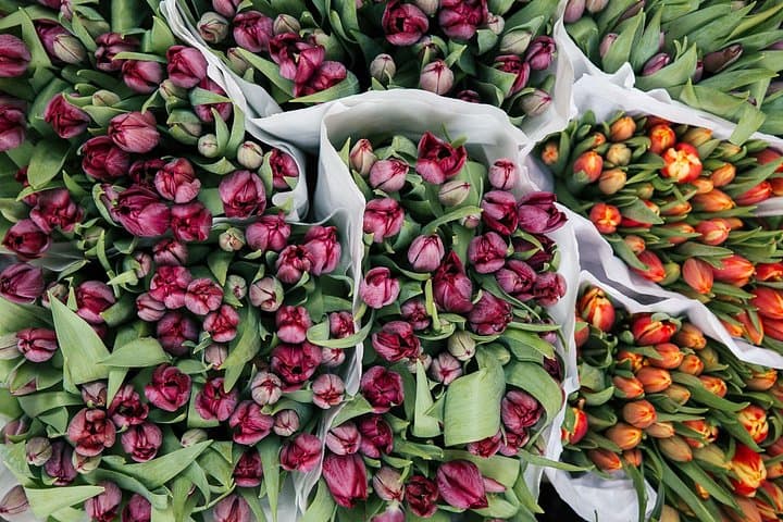 Amsterdam Private Tour: Highlights & Hidden Gems by Bike or Foot photo 4
