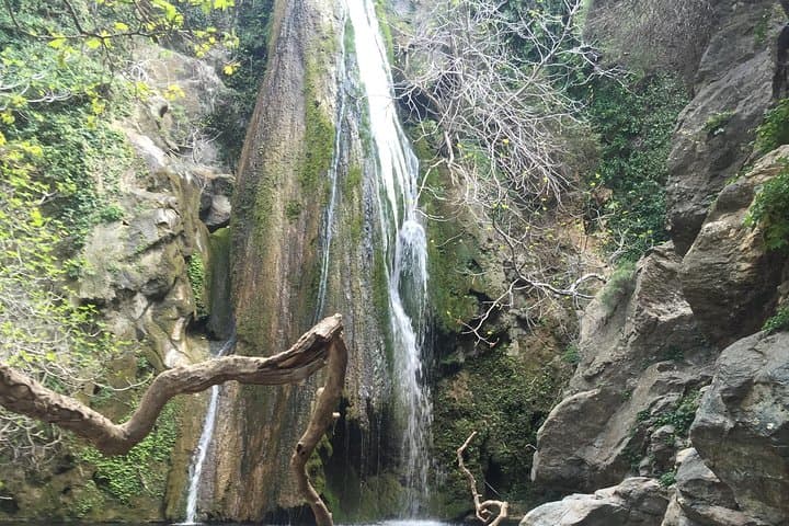 Richtis Waterfall & Azoria Olive Tasting: East Crete Gorge Adventure photo 6