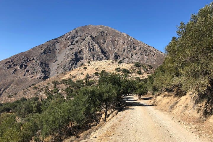 Richti Waterfall & Ancient Olive Tour: Gorge Hike, Swim and Azoria Ruins photo 5