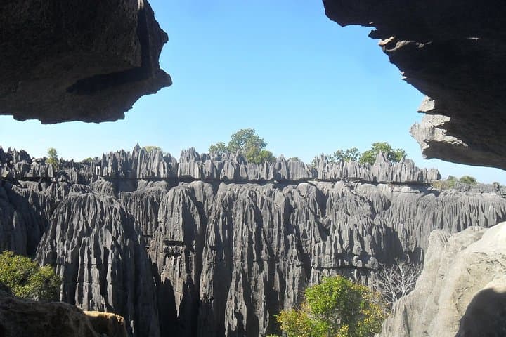 Tsingy of Bemaraha: Pinnacle Rock Forest Hike from Morondava photo 5