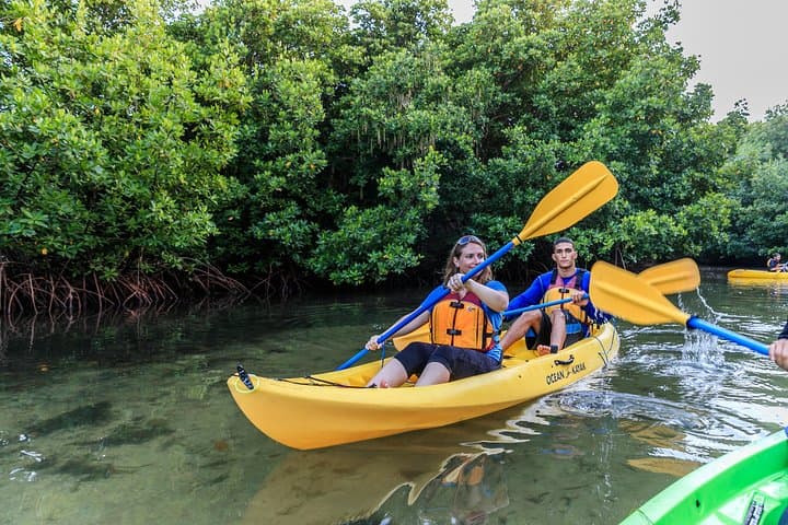 Night Kayaking Laguna Grande: Bioluminescent Bay Tour in Fajardo