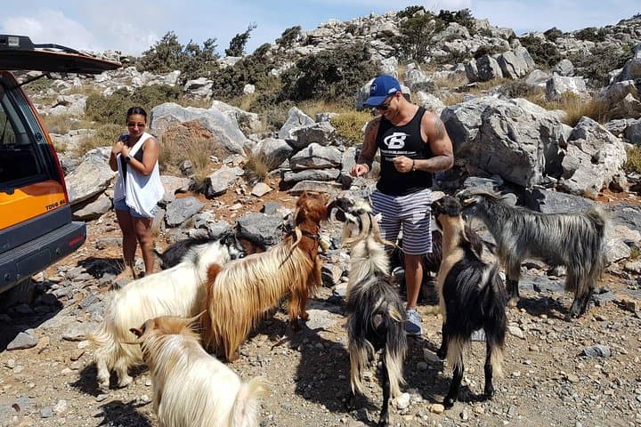 Lassithi Plateau & Zeus Cave Off-Road Safari with Olive Tasting photo 3
