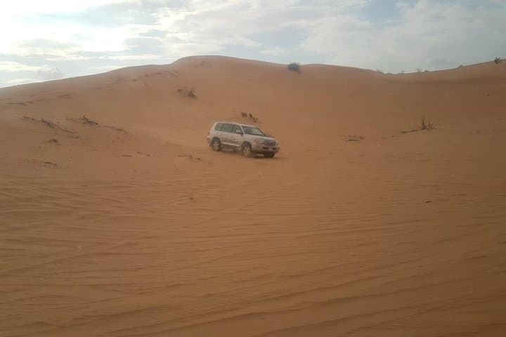 Dawn Dunes: Morning Desert Safari and Camel Ride in Dubai photo 4