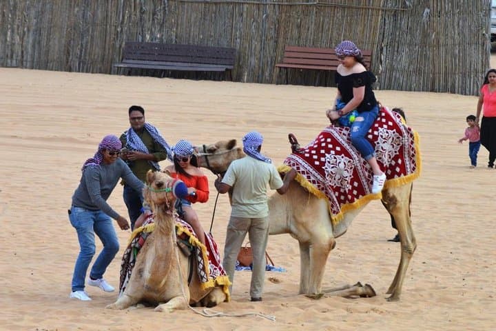 Dawn Dunes: Morning Desert Safari and Camel Ride in Dubai photo 6