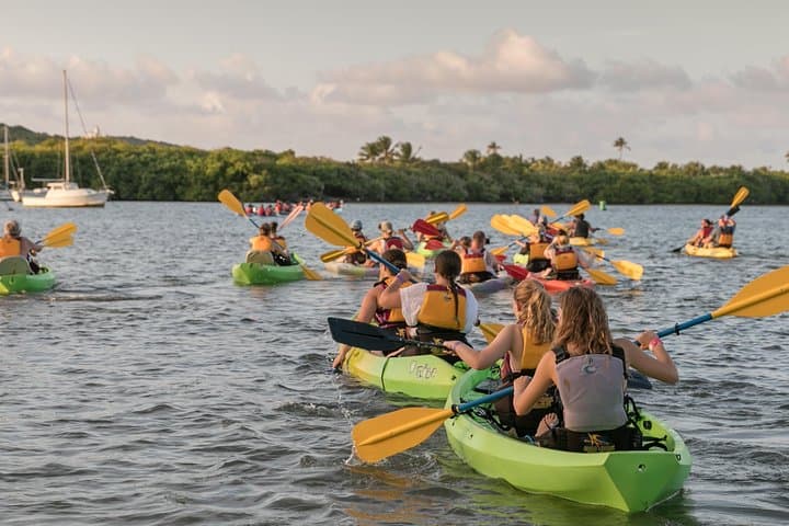 Night Kayaking Laguna Grande Bioluminescent Bay — Guided Tour from San Juan photo 2