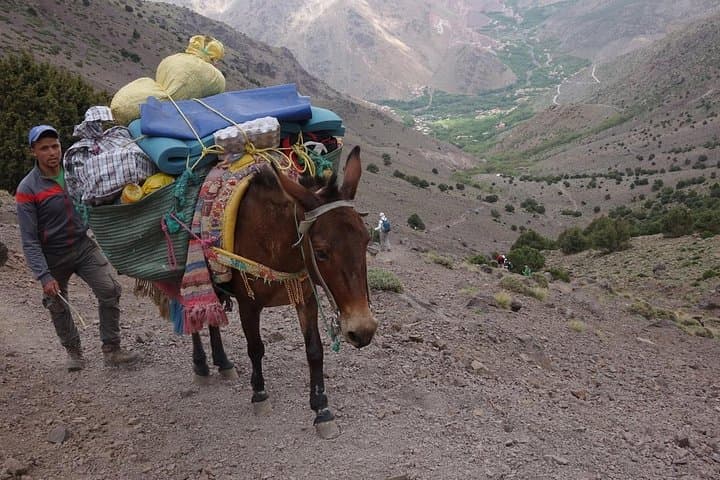 Two-Day Toubkal Ascent: Guided Summit of North Africa's Highest Peak photo 5