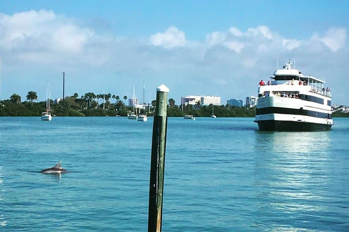 Clearwater Yacht Sightseeing Cruise: 2-Hour Dolphin-Viewing Lunch Option