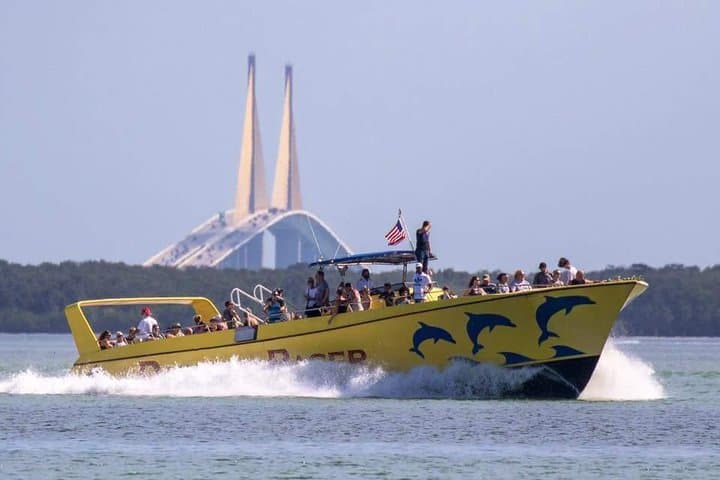 Speedboat Dolphin-Watching Cruise from St. Pete Beach (90–120 min) photo 3
