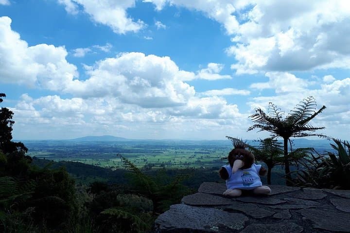 Hobbiton & Tauranga Highlights: Full-Day Shore Excursion with Transport photo 5