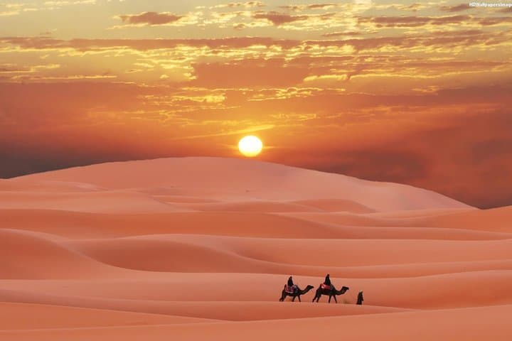 Seven-Night Sahara Caravan Road — Merzouga to Marrakech photo 4