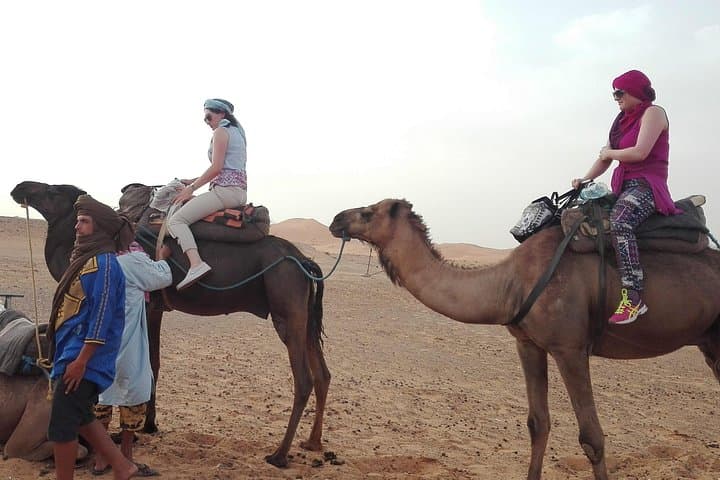 5-Day Desert Escape From Marrakech: Sahara Bivouac, Ait Ben Haddou & Todra Gorge photo 3