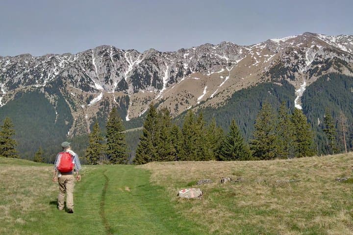 4-Day Carpathian Trek: Bucegi & Piatra Craiului Multi-Day Hike from Brasov photo 2