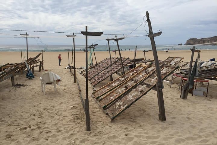 Sesimbra, Azeitao & Setúbal Private Day Tour: Castles, Cliffs & Wine Tasting photo 4