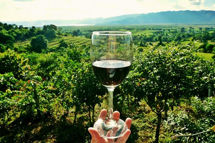 Valpolicella Day Trip from Venice — Amarone Tasting and a Verona Afternoon photo 3