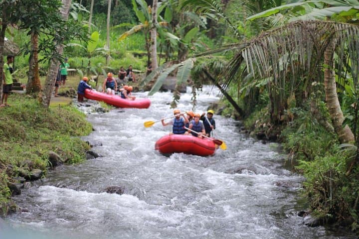 Conquer the Rapids: Bali's Telaga Waja River Rafting Adventure photo 6