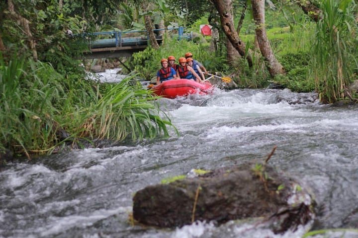 Whitewater Rafting on the Ayung River & Ubud Cultural Tour photo 3